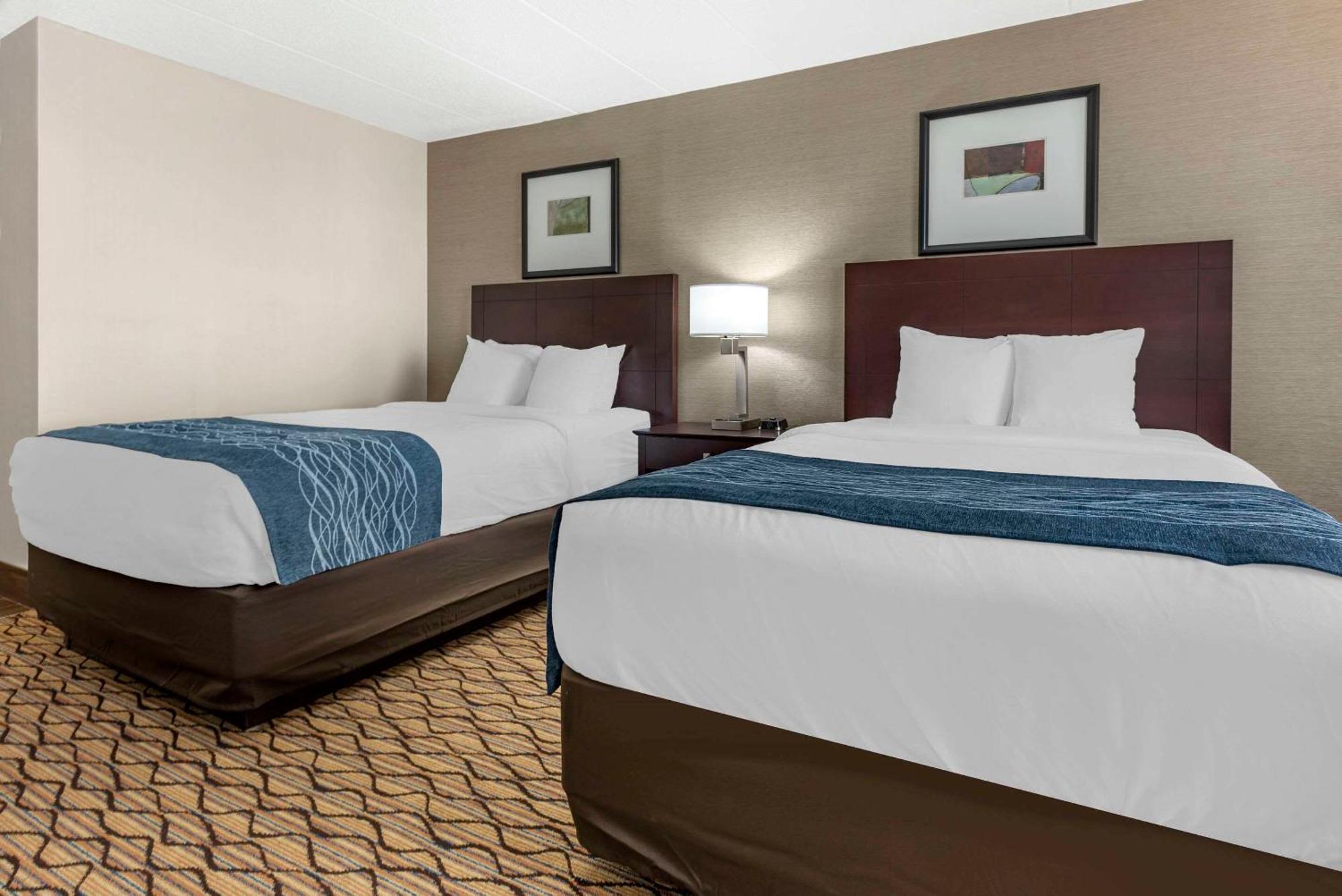 Comfort Inn & Suites Glen Mills - West Chester Buitenkant foto
