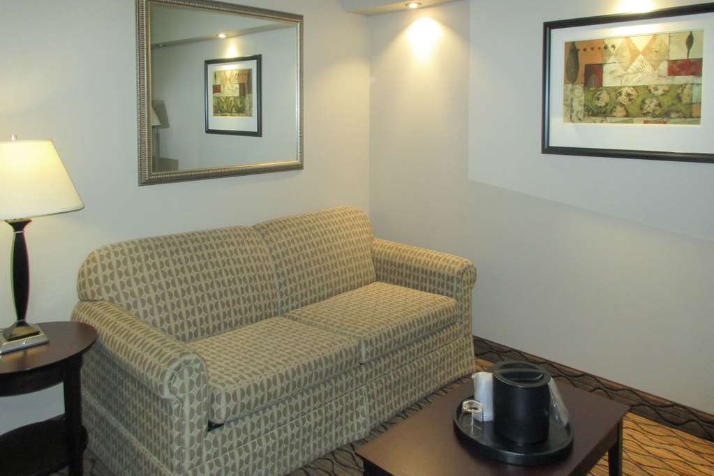 Comfort Inn & Suites Glen Mills - West Chester Kamer foto
