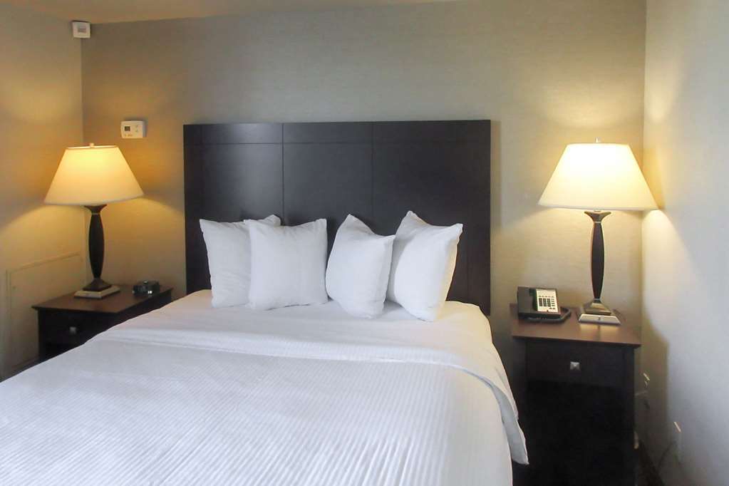 Comfort Inn & Suites Glen Mills - West Chester Kamer foto